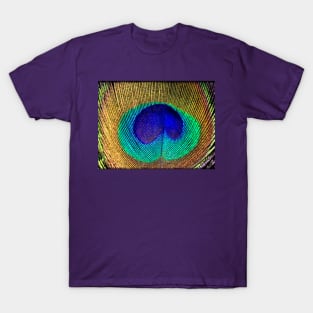 Peacock feather T-Shirt